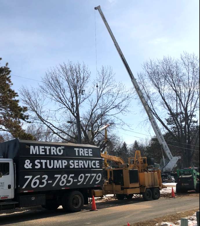 Crane Tree Removal Service